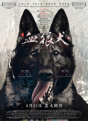 镇魔曲社区活动介绍：参与赢取丰富奖励